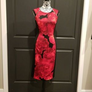 Ladies Fitted Dress